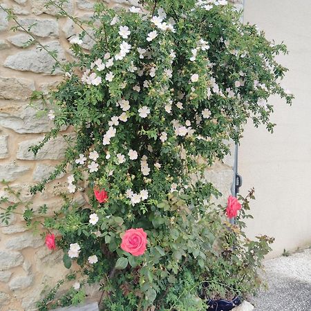 Gite L'Edenwine Doulezon Extérieur photo