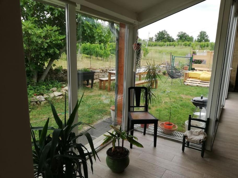Gite L'Edenwine Doulezon Extérieur photo